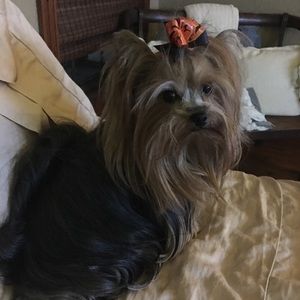 Meet your Posher, Kelli